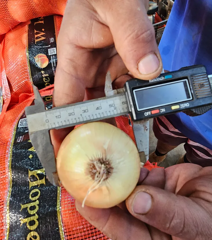 20240326_083719 1 (4)