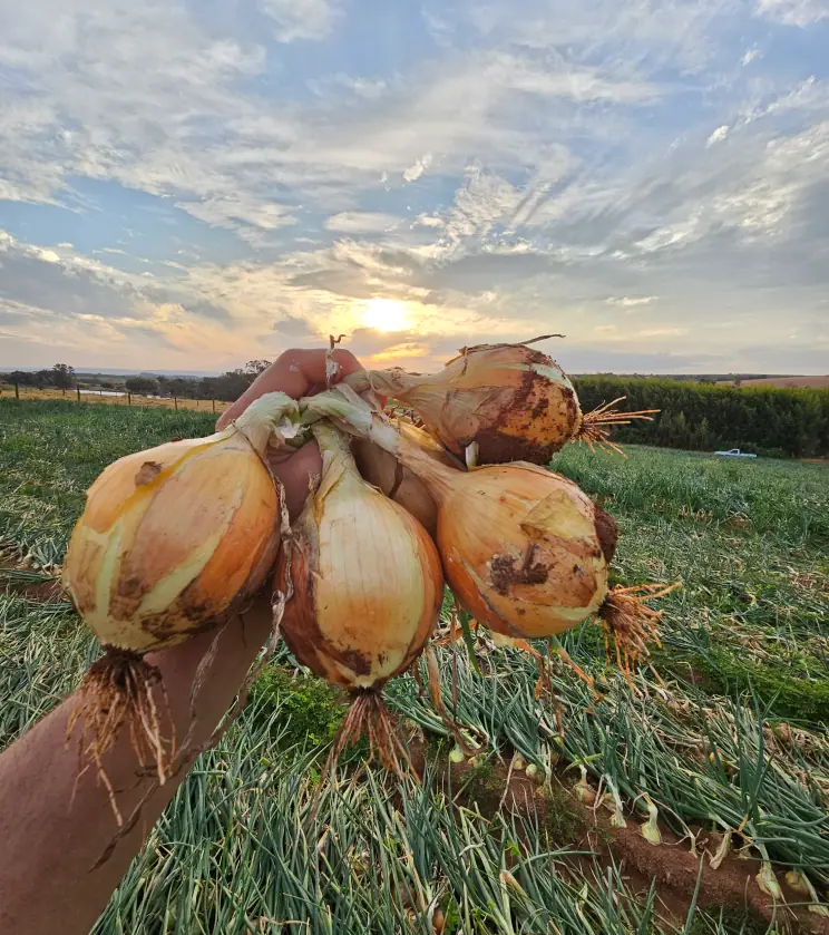 20240326_083719 1 (6)